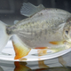 Illustration for article titled Testicle-Munching Fish Are Ruining Summer for Scandinavians